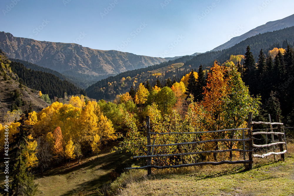 A panoramic shot of mesmerizing trees in Artvin, Turkey. A panoramic shot of mesmerizing trees in Artvin, Turkey.