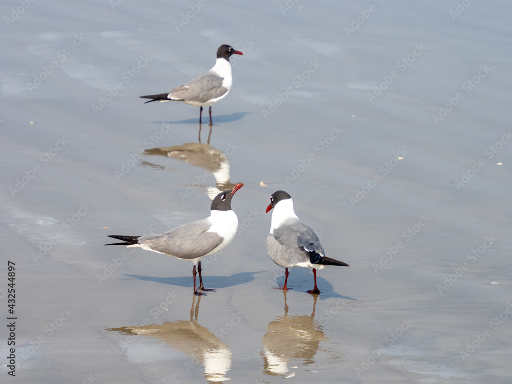 Three's a crowd Three's a crowd