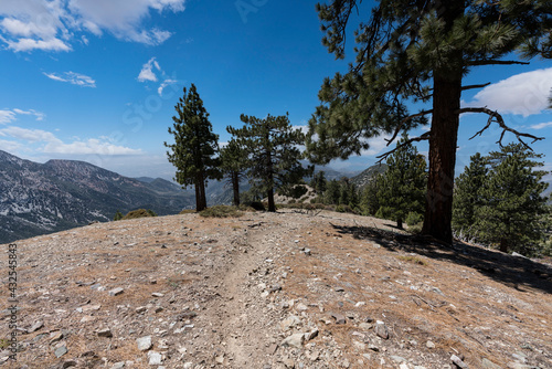 View of the Mt Baldy Trail ...
