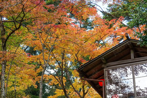 神護寺の秋景色 © ykimura65