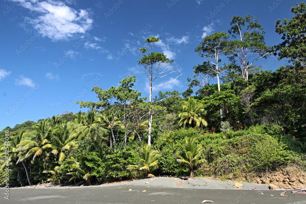 View of the coast  Corcovado National Park. Osa Peninsula. Costa Rica. Central America.