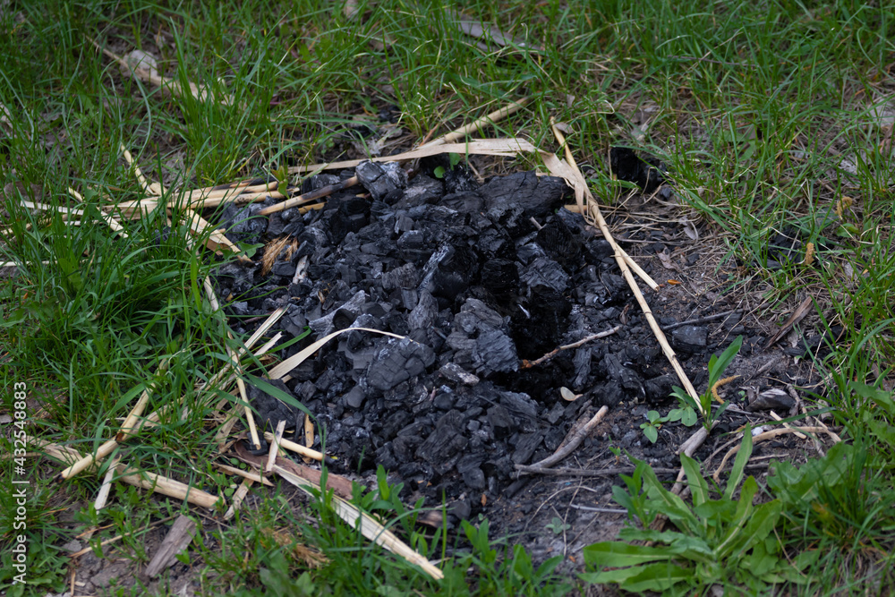 Coals and ashes left over from a campfire illegally bred in the woods on the grass during the warm summer season of the outdoor bonfire on a outdoor holiday. High quality photo Coals and ashes left over from a campfire illegally bred in the woods on the grass during the warm summer season of the outdoor bonfire on a outdoor holiday. High quality photo