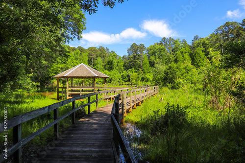 Fotografija a shot of a brown wooden bridge over the water in a marsh surrounded by lush gre