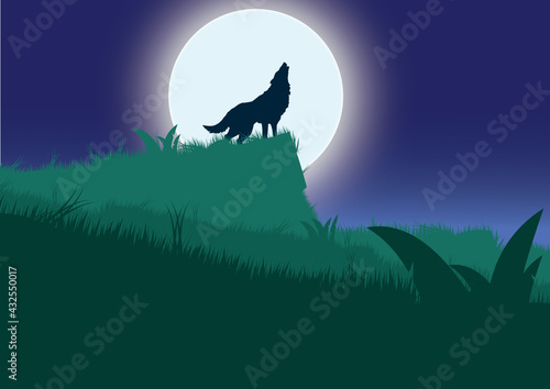 wolf in the cliff.rising moon background.midnight forest.