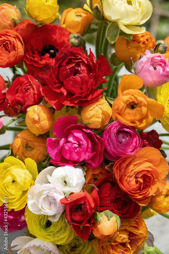 Bouquet of Persian buttercups flowers  ranunculus asiaticus background.