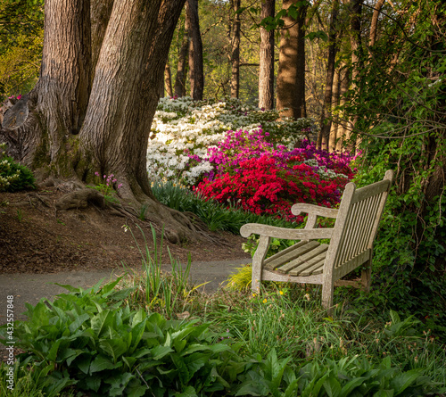 Spring Time in the Park With Azaleas and Trees and Lush Greenery