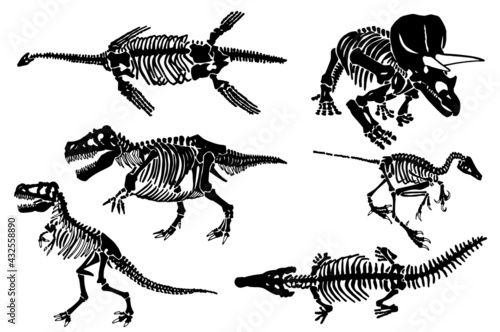 Paleontological set, graphical skeletons of dinosaurs on white background,vector fossils silhouettes