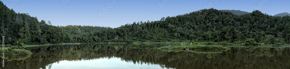 Forest by the Lake