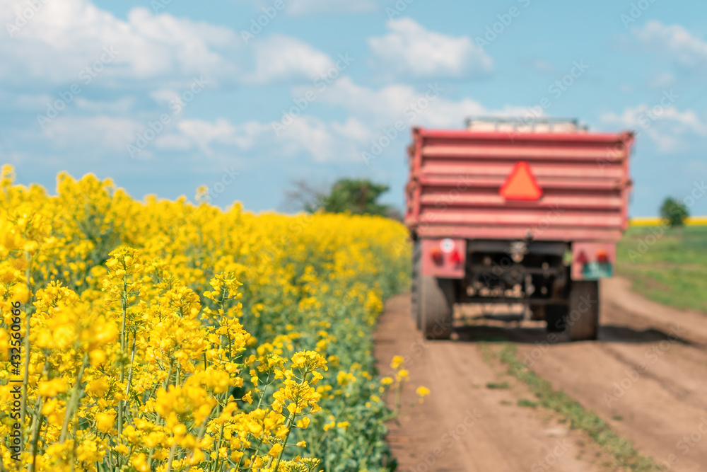Tractor on country dirt road by the blooming rapeseed crop field