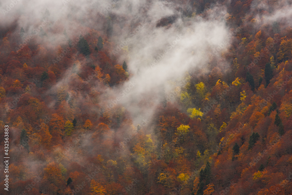 The upcoming cloud covers the autumn forest at the top of the mountain