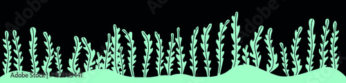 Seaweed on the bottom black background
