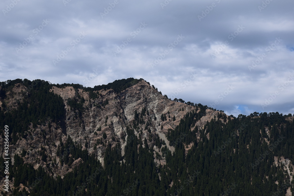 Picture of a big mountain whit green trees on it. Selective focus, Selective Focus On Subject, Background Blur