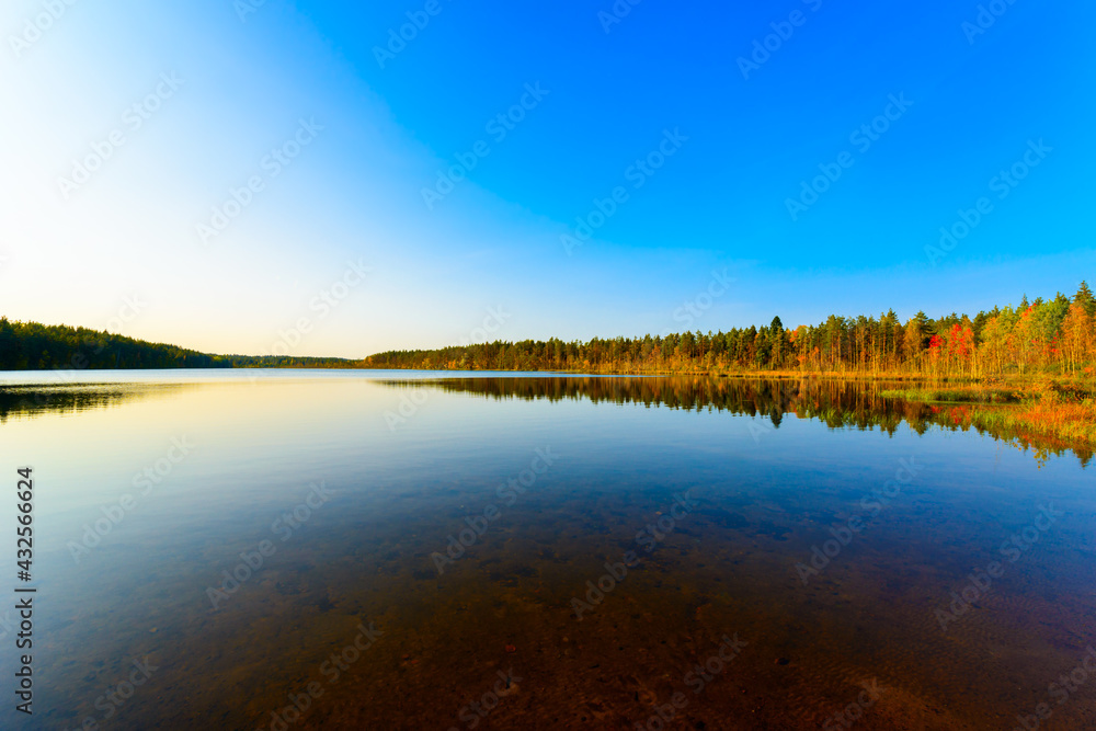 Transparent waters of a forest lake in the rays of the setting sun. View from the shore level
