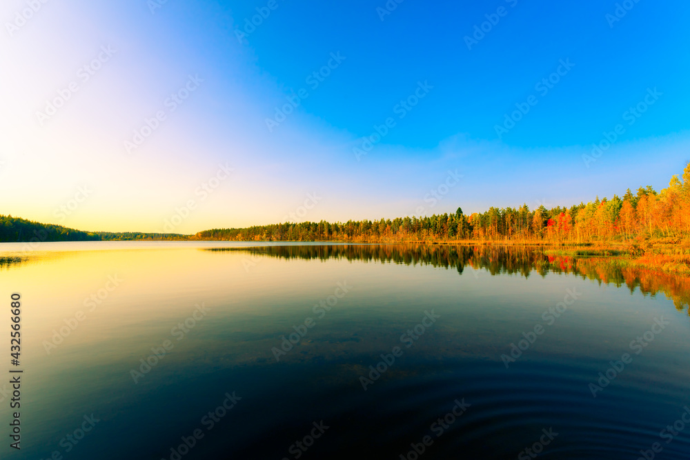 Transparent waters of a forest lake in the rays of the setting sun. View from the shore level