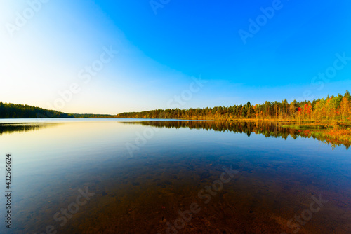 Transparent waters of a forest lake in the rays of the setting sun. View from the shore level