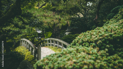 Kyoto Palace Garden © Adi Seres