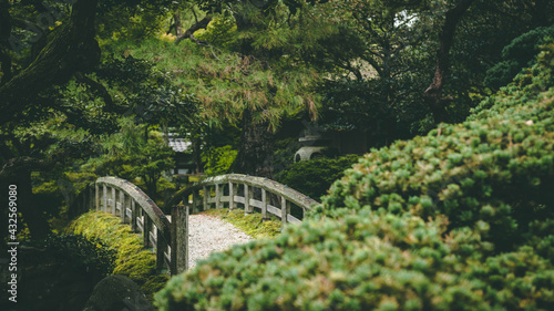 Kyoto Palace Garden photo