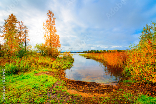 Sunset in the cloudy sky over the autumn forest lake. View from the shore level