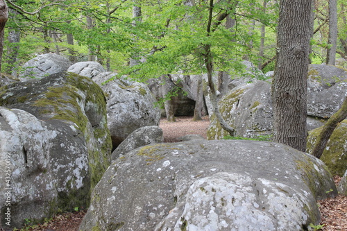 Rocher de la forêt de Fontainebleau