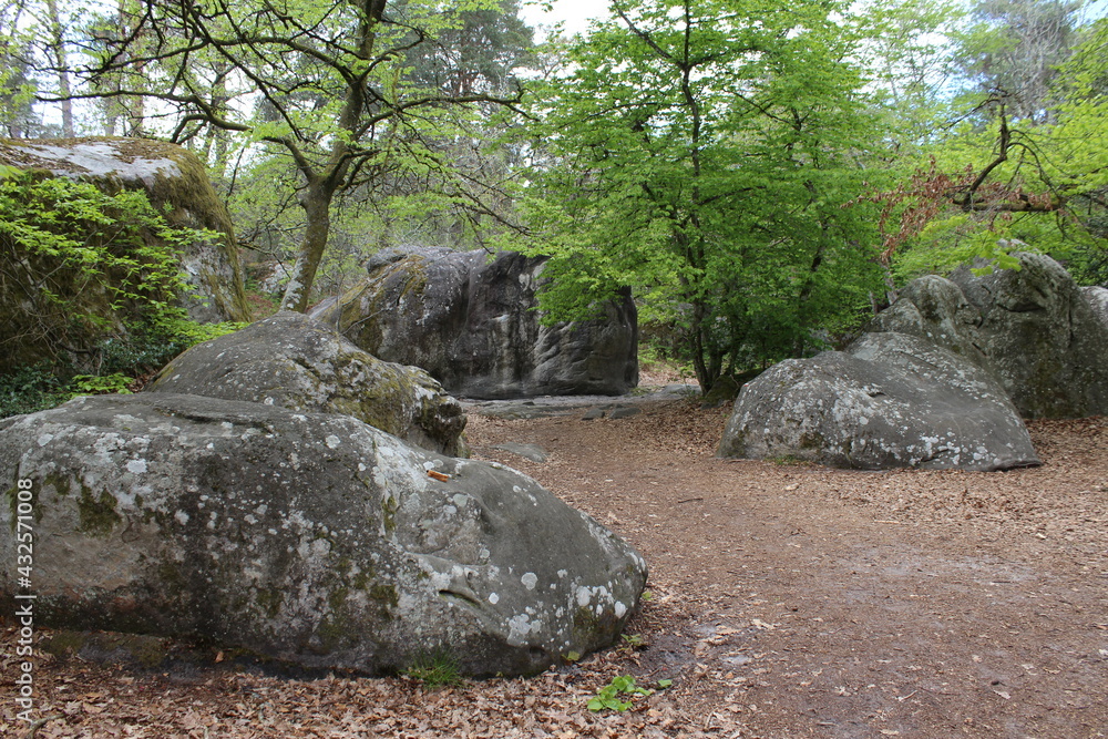 Rocher de la forêt de Fontainebleau Rocher de la forêt de Fontainebleau