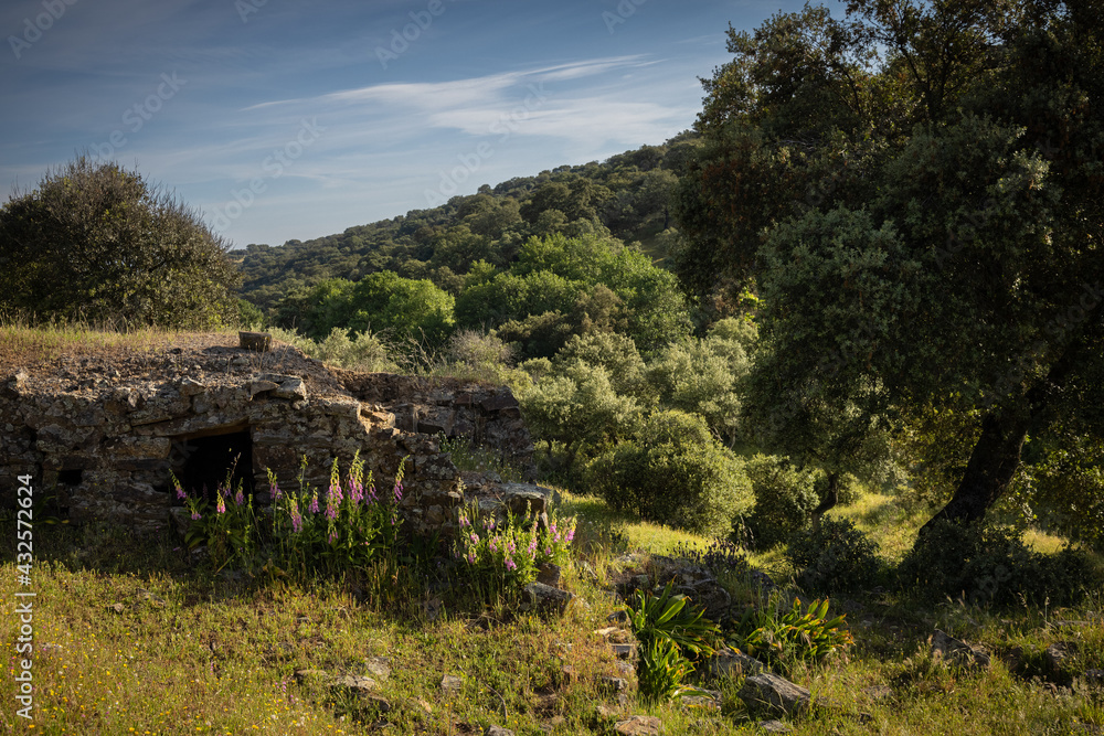 Landscape with ancient ruin in the Encinar de Cabezon. Extremadura. Spain