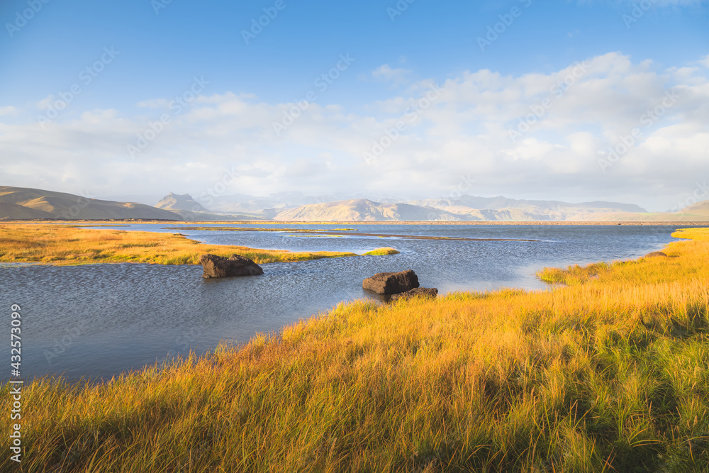 Obraz premium Golden grass and light in idyllic mountain wetland landscape in Southern Iceland near Vik and Dyrholaey.