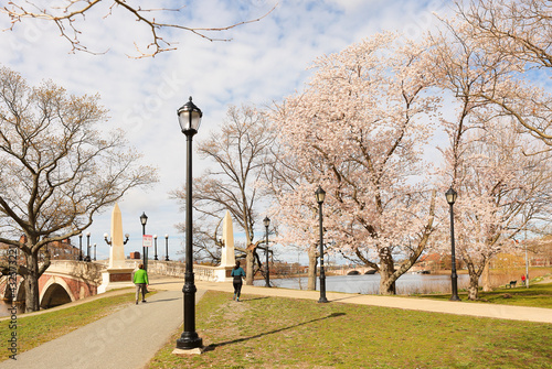 The John W Weeks Foot Bridge over Charles River, Boston Massachusetts