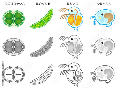 プランクトンのイラスト素材セット