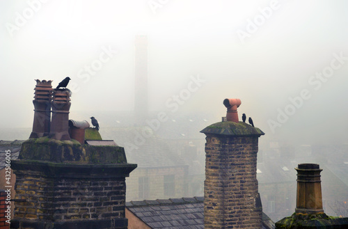 Fototapeta atmospheric image of crows perched on chimneys in winter fog in hebden bridge we