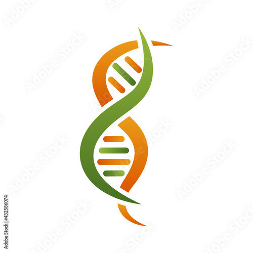 orange and green dna