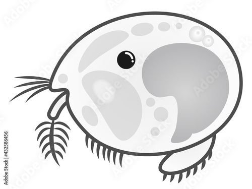 ウミホタルのイラスト素材2