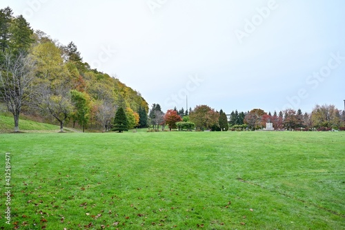 紅葉に囲まれた芝生広場の情景＠羊蹄山、北海道