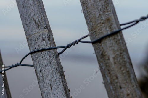 Privacy fensce seperates coastal dunes photo