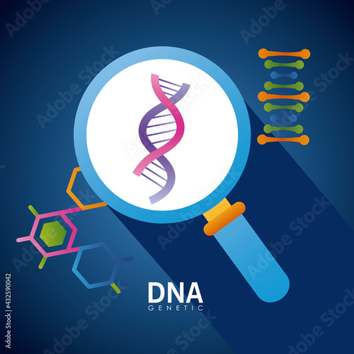 dna and magnifying