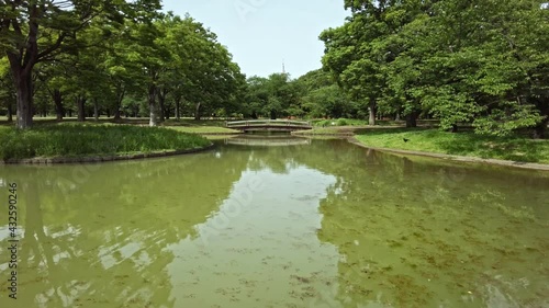 Wallpaper Mural 東京都渋谷区代々木にある公園の自然豊かな景色 Torontodigital.ca