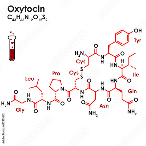 Oxytocine