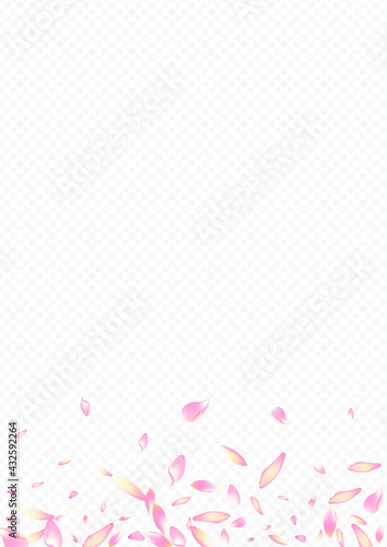 Red Bloom Vector Transparent Background. Blossom Springtime Illustration. Rose Japanese Design. Blooming Invitation Card. Purple Floral Rain Template.