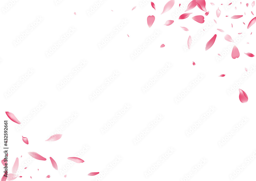White Flower Petal Vector White Background. Pastel Free Cherry Petal Texture. Lotus Petal Bright Cover. Soft Rose Petal Card.