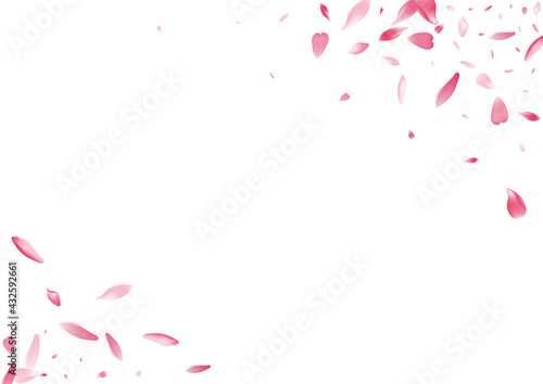Fototapeta Naklejka Na Ścianę i Meble -  White Flower Petal Vector White Background. Pastel Free Cherry Petal Texture. Lotus Petal Bright Cover. Soft Rose Petal Card.