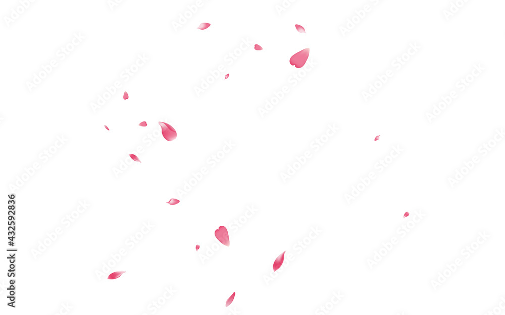 Pastel Sakura Petal Vector White Background. Transparent Spring Flower Petal Product. Rose Petal Romantic Congratulation. Springtime Lotus Petal Template.