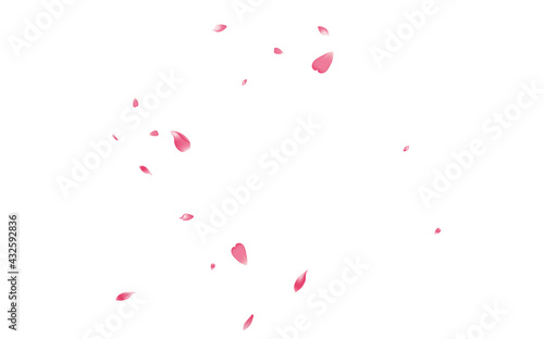 Pastel Sakura Petal Vector White Background. Transparent Spring Flower Petal Product. Rose Petal Romantic Congratulation. Springtime Lotus Petal Template.
