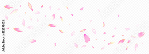 Bright Cherry Vector Panoramic Transparent Background. Peach Down Template. Petal Wind Design. Leaf Garden Pattern. Purple Bloom March Card.