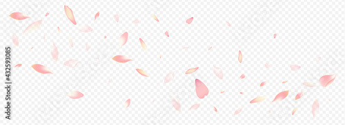 Bright Cherry Vector Panoramic Transparent Background. Peach Down Template. Petal Wind Design. Leaf Garden Pattern. Purple Bloom March Card.