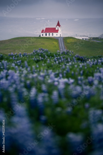 ingjaldsholl church in iceland photo