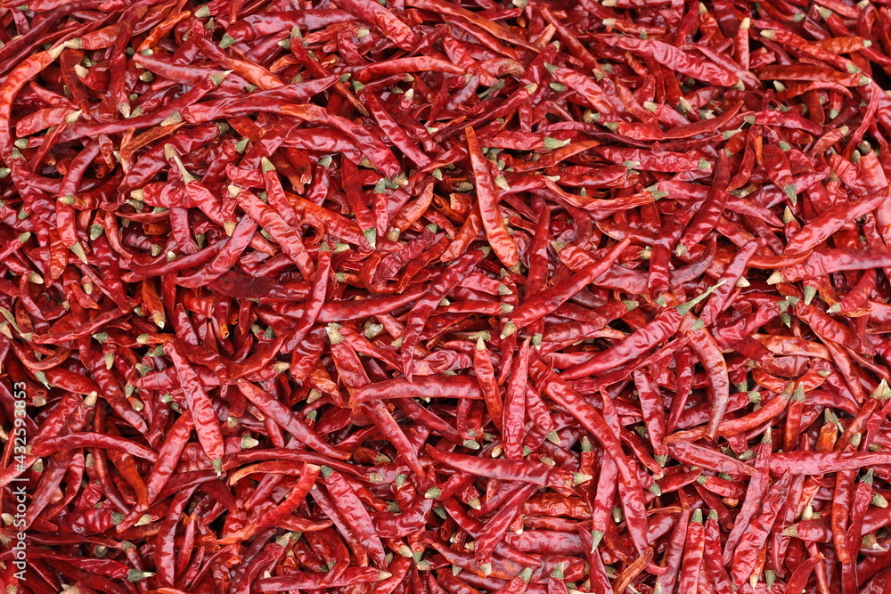 bright red dry peppers background