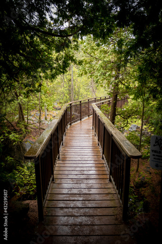 A boardwalk breaks up sections of the trail through Rockwood Conservation Area near Guelph  Ontario as it exits the forest on a rainy day.