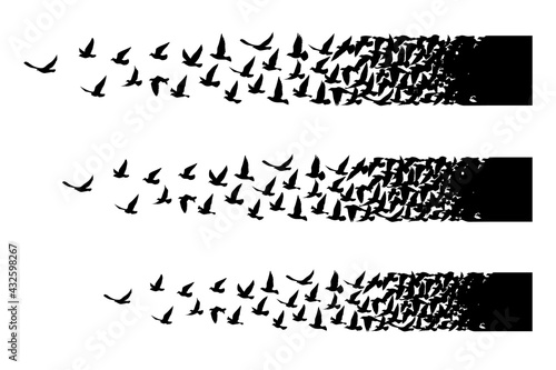 Flying birds silhouettes on white background. Vector illustration. isolated bird flying. tattoo design.
