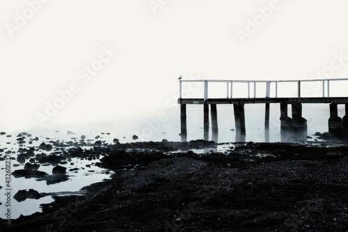 Black and white Jetty in the mist