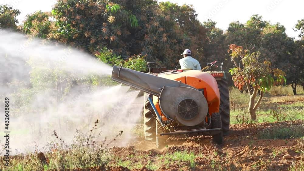 A Tractor spraying mango tree protection pesticide,Tractor spraying