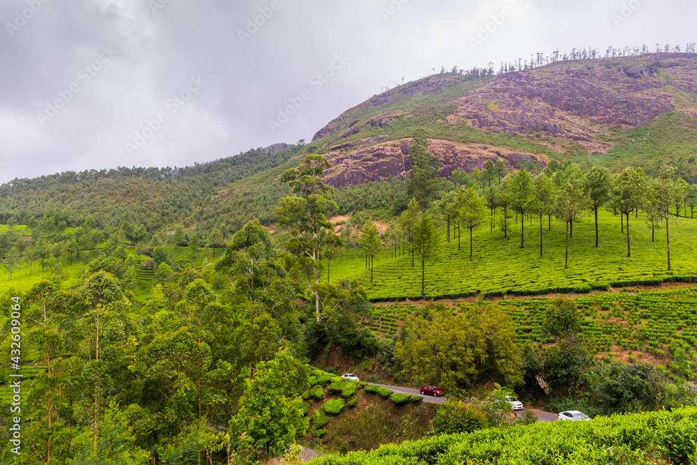 Scenic View Point of Tea Estate in Mountain Hill Munnar